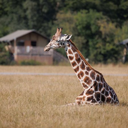 Готель Knuthenborg Safaripark Марібо Екстер'єр фото