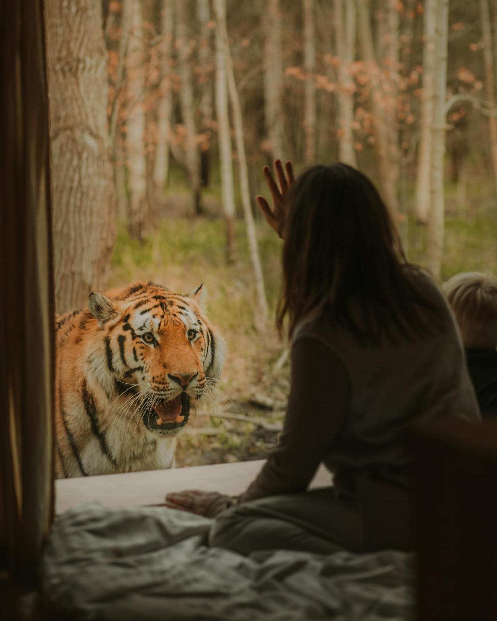 Готель Knuthenborg Safaripark Марібо Екстер'єр фото