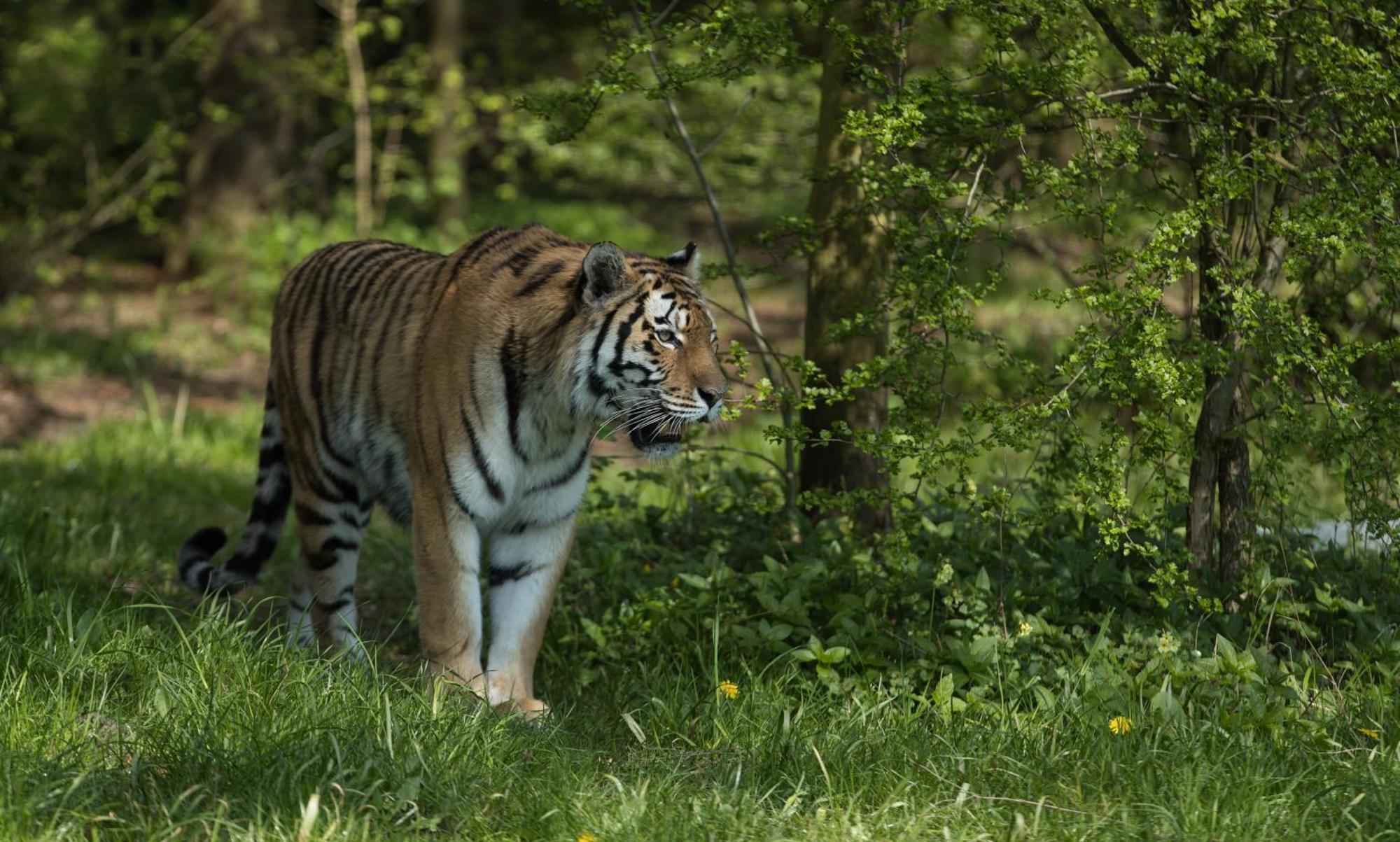 Готель Knuthenborg Safaripark Марібо Екстер'єр фото