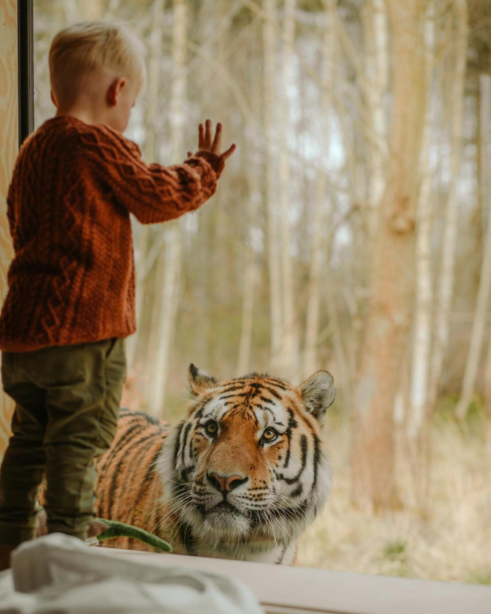 Готель Knuthenborg Safaripark Марібо Екстер'єр фото