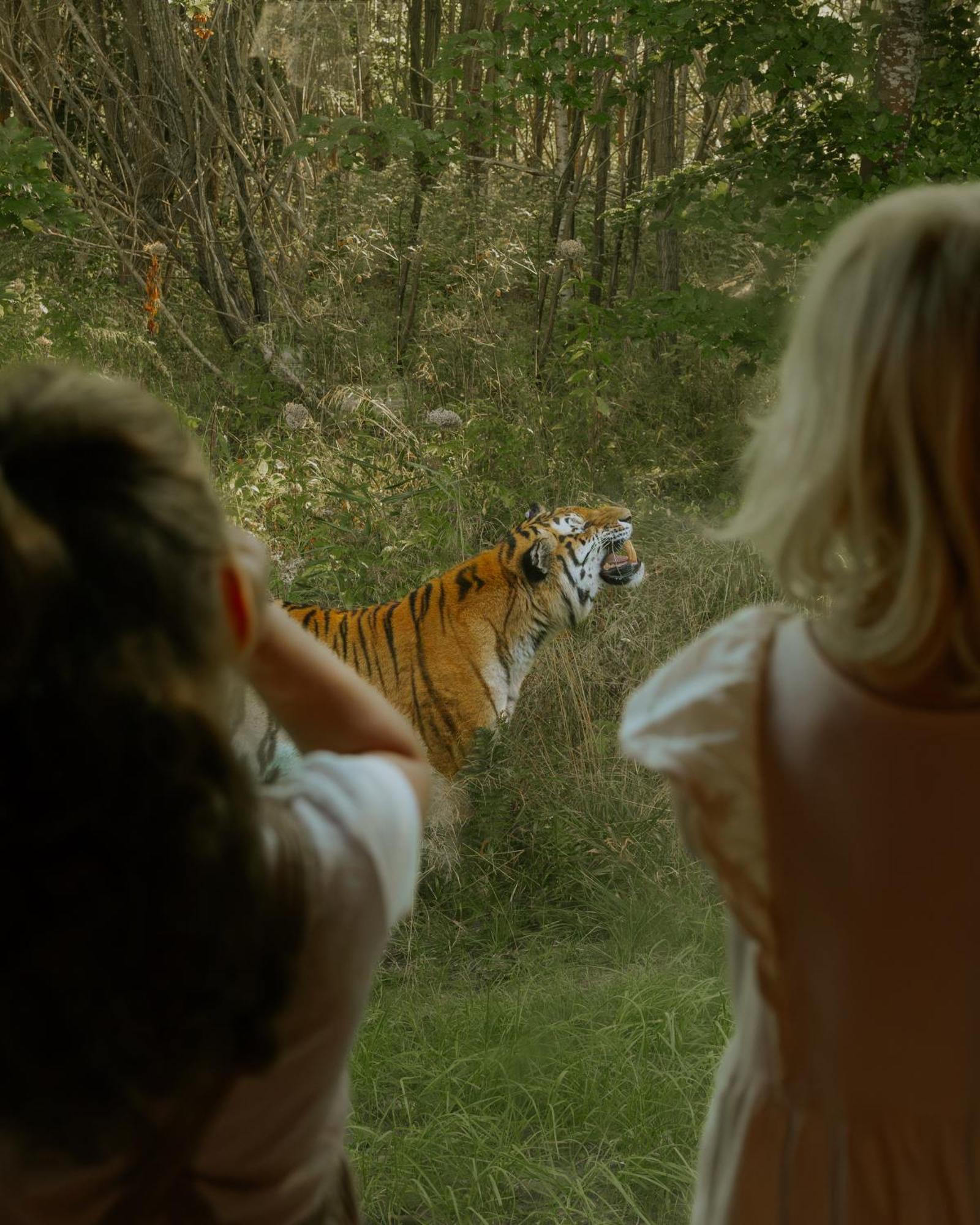 Готель Knuthenborg Safaripark Марібо Екстер'єр фото