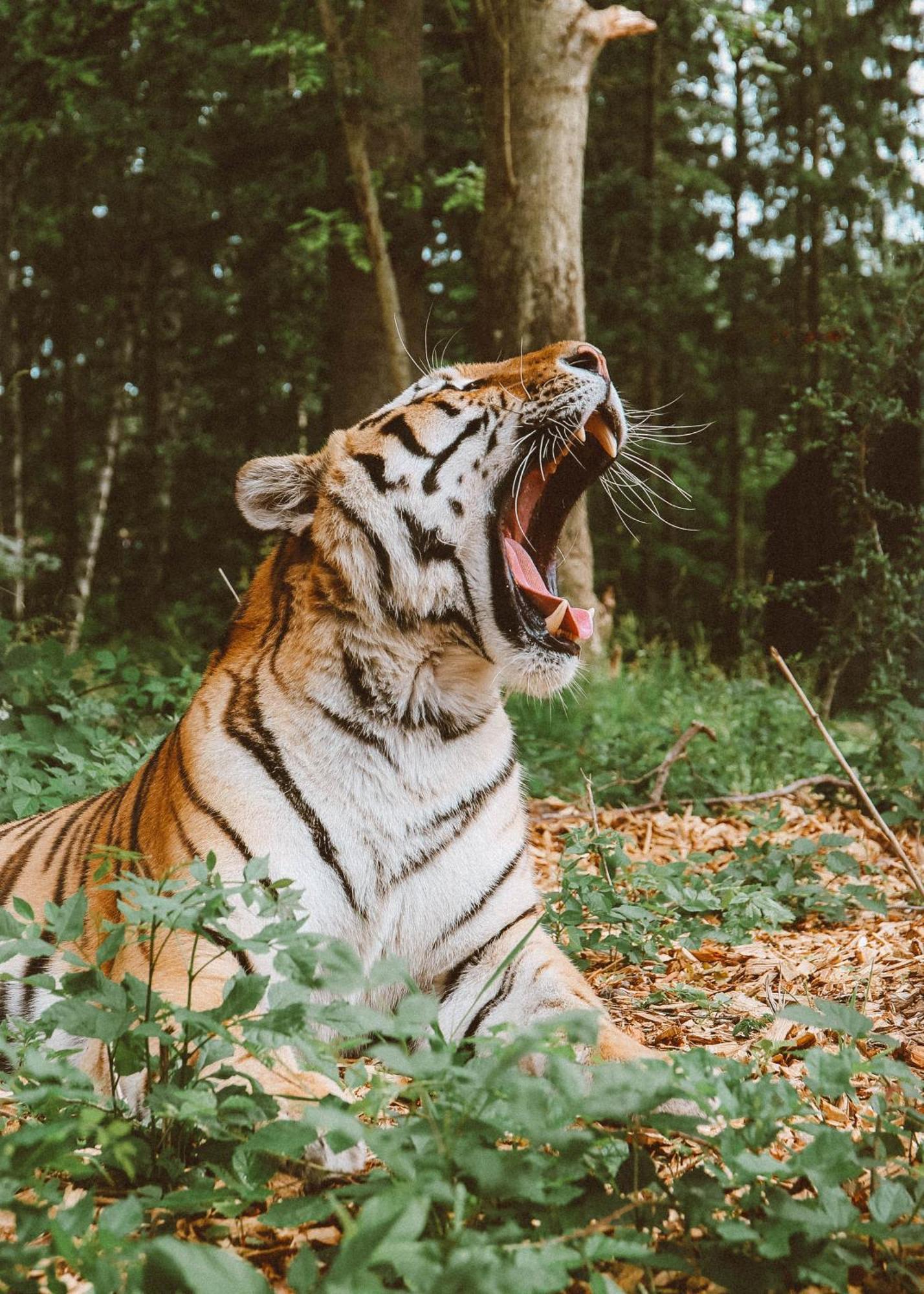 Готель Knuthenborg Safaripark Марібо Екстер'єр фото