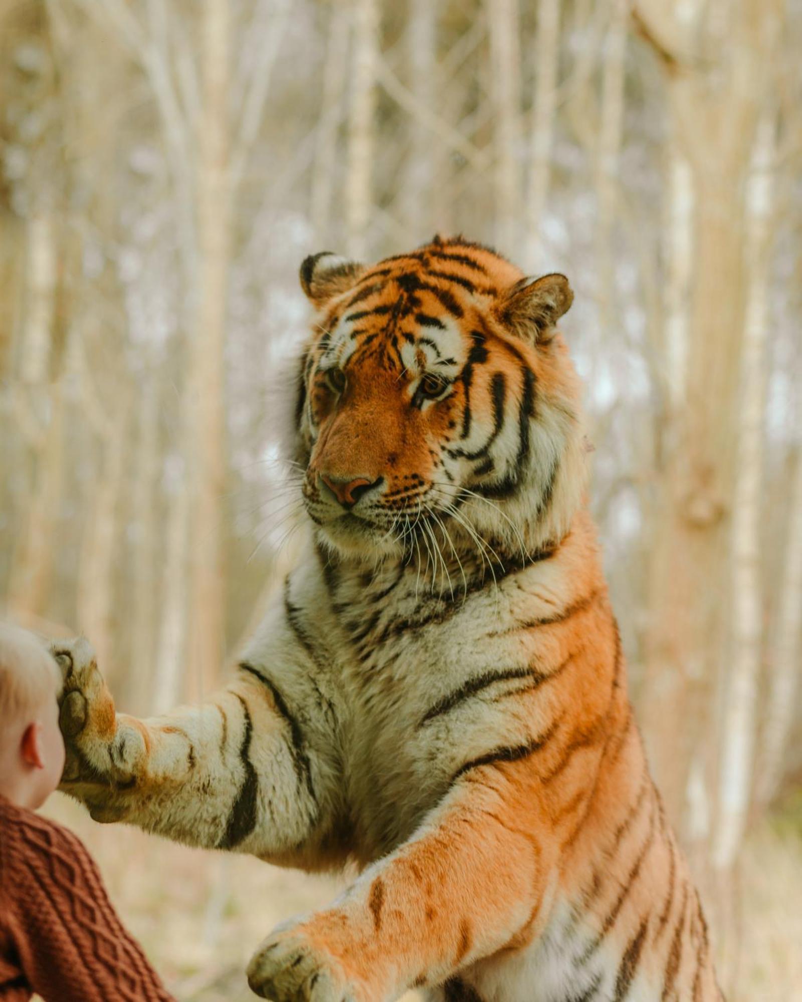 Готель Knuthenborg Safaripark Марібо Екстер'єр фото