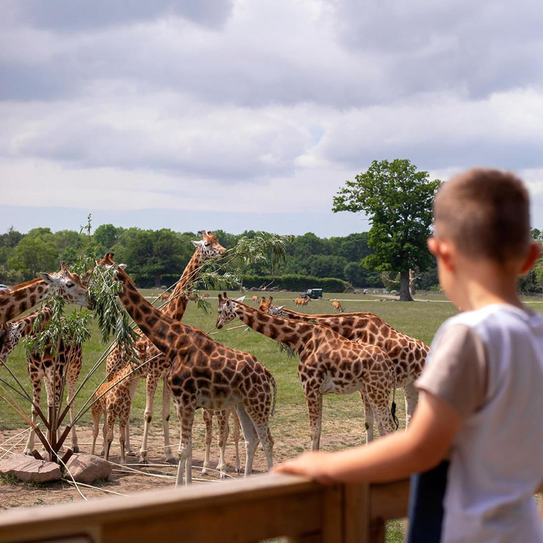 Готель Knuthenborg Safaripark Марібо Екстер'єр фото