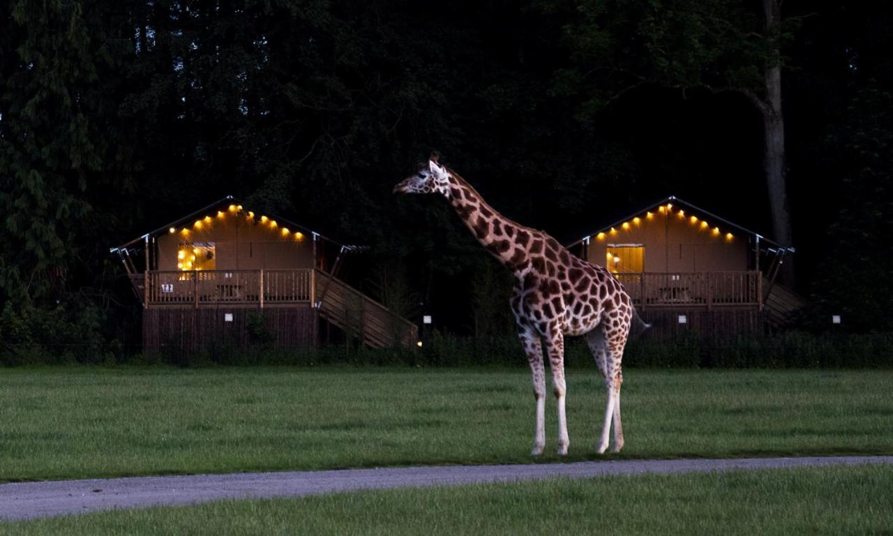 Готель Knuthenborg Safaripark Марібо Екстер'єр фото