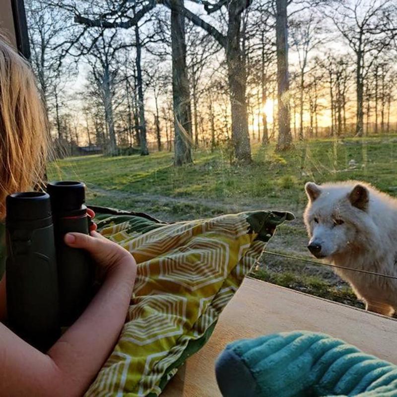 Готель Knuthenborg Safaripark Марібо Екстер'єр фото