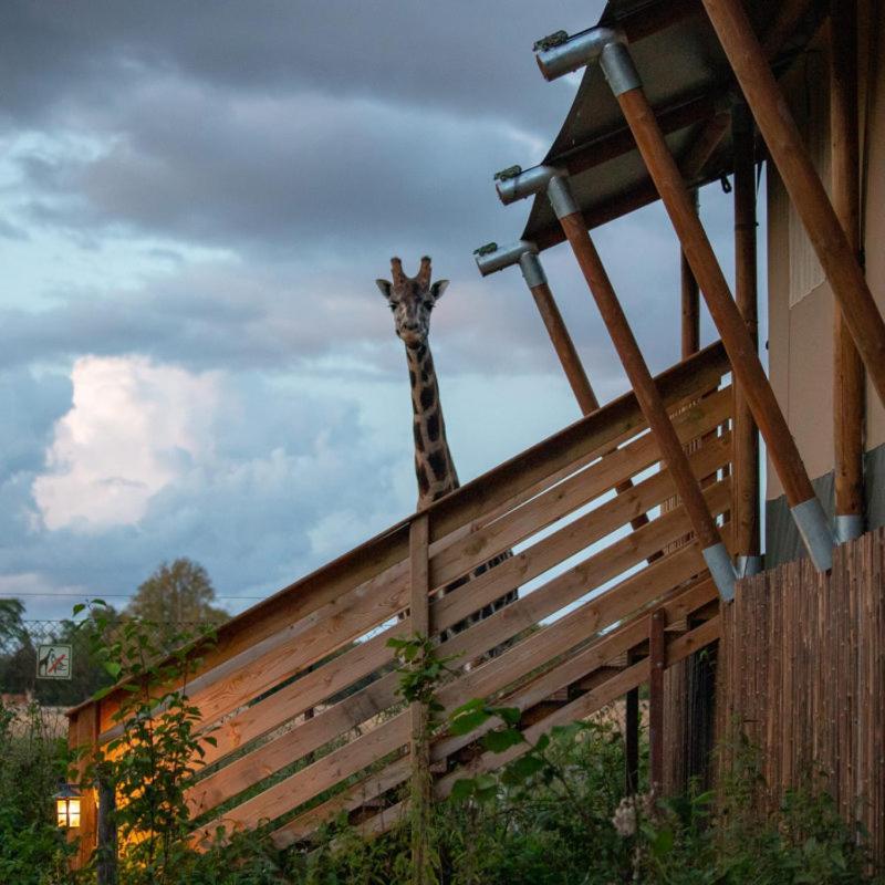 Готель Knuthenborg Safaripark Марібо Екстер'єр фото